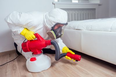 How Flea And Tick Infestations Impact Commercial Properties
